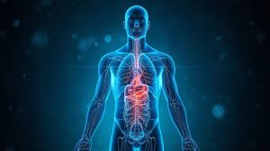 Health Alert Can Disohozid Disease Kill You What You Need to Know A concerned person looking at a health alert on a smartphone, with a professional doctor in the background pointing to a world map, symbolizing global health information.