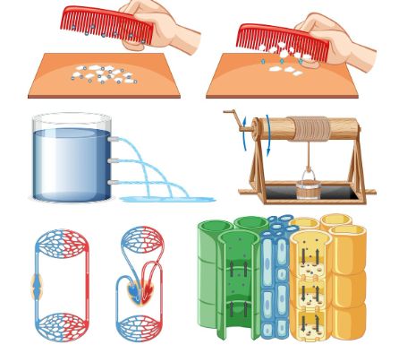 A Simcell with a Water Permeable Membrane A Beginner’s Guide a simcell with a water permeable membrane