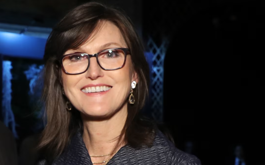 cathie wood semiconductor investment​
